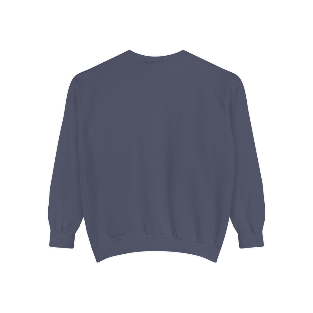 Party Like 1776 Sweatshirt — Vintage 4th of July Pullover