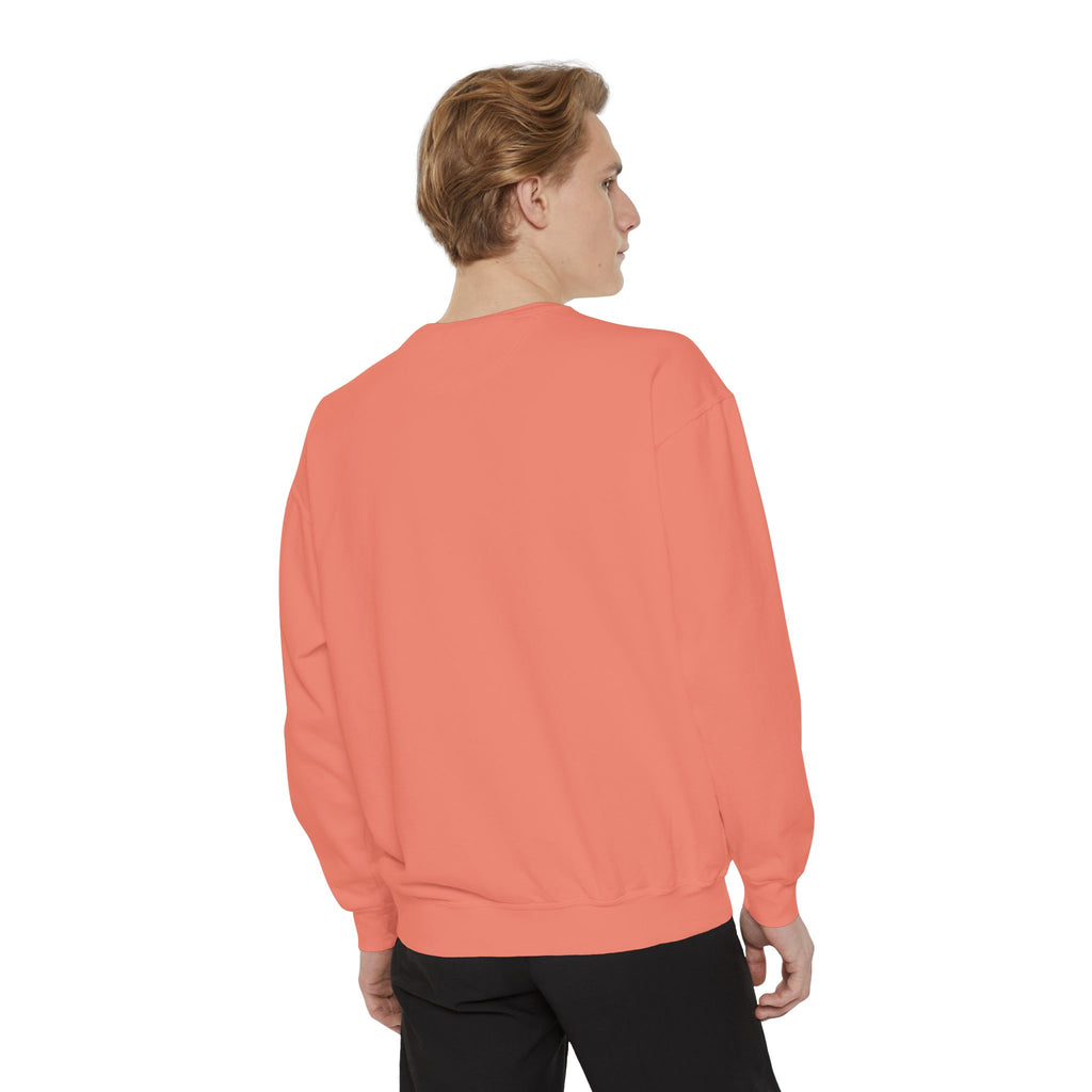 Party Like 1776 Sweatshirt — Vintage 4th of July Pullover